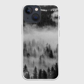 Чехол для iPhone 13 mini с принтом ТУМАННЫЙ ЛЕС | FOREST в городе Новоалтайск,  |  | forest | деревья | дым | лес | мрачный лес | природа | туман