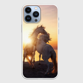 Чехол для iPhone 13 Pro Max с принтом Лошади на закате в городе Новоалтайск,  |  | Тематика изображения на принте: восход | животные | закат | звери | кони | конь | коняшка | лошади | лошадка | лошадь | на восходе | на закате | пони | природа | солнце