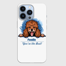 Чехол для iPhone 13 Pro с принтом Собака Пудель (Poodle) в городе Новоалтайск,  |  | Тематика изображения на принте: dog | dog poodle | m | miniature poodle | poodle | poodle puppies | royal poodle | белый пудель | год собаки | друг человека | животное | зверь | карликовый пудель | кинолог | королевский пудель | мини пудель | пёс | пудель