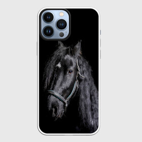 Чехол для iPhone 13 Pro Max с принтом Лошадь на черном фоне в городе Новоалтайск,  |  | Тематика изображения на принте: восход | животные | закат | звери | кони | конь | коняшка | лошади | лошадка | лошадь | на восходе | на закате | пони | природа | солнце