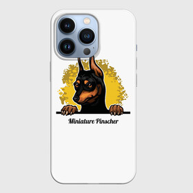 Чехол для iPhone 13 Pro с принтом Мини Пинчер в городе Новоалтайск,  |  | animal | dog | german pinscher | min pi | miniature pinscher | pinscher | год собаки | друг человека | животное | зверь | кинолог | мин пин | миниатюрный пинчер | немецкий пинчер | пёс | пинчер | порода собак | собака