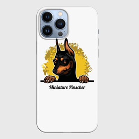 Чехол для iPhone 13 Pro Max с принтом Мини Пинчер в городе Новоалтайск,  |  | animal | dog | german pinscher | min pi | miniature pinscher | pinscher | год собаки | друг человека | животное | зверь | кинолог | мин пин | миниатюрный пинчер | немецкий пинчер | пёс | пинчер | порода собак | собака