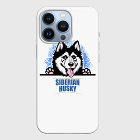Чехол для iPhone 13 Pro с принтом Сибирский Хаски (Siberian Husky) в городе Новоалтайск,  |  | Тематика изображения на принте: ani | dog | husky | siberian husky | wolf | аляскинский маламут | волк | год собаки | друг человека | ездовая собака | животное | зверь | ищейка | кинолог | кость | лайка | пёс | сибирский хаски | сибирь | собака