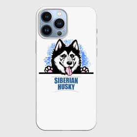 Чехол для iPhone 13 Pro Max с принтом Сибирский Хаски (Siberian Husky) в городе Новоалтайск,  |  | Тематика изображения на принте: ani | dog | husky | siberian husky | wolf | аляскинский маламут | волк | год собаки | друг человека | ездовая собака | животное | зверь | ищейка | кинолог | кость | лайка | пёс | сибирский хаски | сибирь | собака
