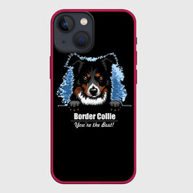 Чехол для iPhone 13 mini с принтом Бордер Колли (Border Collie) в городе Новоалтайск,  |  | Тематика изображения на принте: animal | border collie | dog | бордер колли | год собаки | друг человека | животное | зверь | ищейка | кинолог | кость | овчарка | пастушья собака | пёс | порода собак | собака бордер колли | собаковод