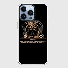 Чехол для iPhone 13 Pro с принтом Собака Мопс в городе Новоалтайск,  |  | Тематика изображения на принте: bulldog | pug | pug dog | pug puppies | бульдог | год собаки | друг человека | дружные мопсы | дядя мопс | животное | зверь | кинолог | мопс | пёс | порода собак | собака боксёр | собака мопс | собаковод | четвероногий