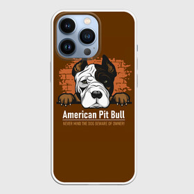 Чехол для iPhone 13 Pro с принтом Американский Питбультерьер (Pit Bull Terrier) в городе Новоалтайск,  |  | Тематика изображения на принте: american pit bull terrier | boxer | bulldog | fighting dog | pit bull | американский питбультерьер | бойцовская собака | бойцовский пес | боксер | бульдог | волкодав | друг человека | кинолог | пес | питбуль | питбультерьер