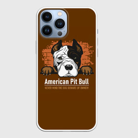 Чехол для iPhone 13 Pro Max с принтом Американский Питбультерьер (Pit Bull Terrier) в городе Новоалтайск,  |  | Тематика изображения на принте: american pit bull terrier | boxer | bulldog | fighting dog | pit bull | американский питбультерьер | бойцовская собака | бойцовский пес | боксер | бульдог | волкодав | друг человека | кинолог | пес | питбуль | питбультерьер