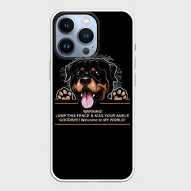 Чехол для iPhone 13 Pro с принтом Собака Ротвейлер в городе Новоалтайск,  |  | animal | dog | fighting dog | rottweiler | бойцовская собака | год собаки | друг человека | животное | зверь | кинолог | пёс | порода собак | ротвейлер | собака ротвейлер | собаковод | хищник | четвероногий