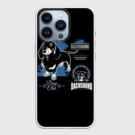 Чехол для iPhone 13 Pro с принтом Собака Такса в городе Новоалтайск,  |  | animal | dachshund | dog | hunting dog | год собаки | друг человека | животное | кинолог | охотничья собака | пёс | порода собак | собака такса | собаковод | такса | четвероногий | щенок таксы