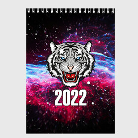 Скетчбук с принтом ЧЁРНЫЙ ТИГР НОВЫЙ ГОД 2022   GRAY TIGER NEW YEAR в городе Новоалтайск, 100% бумага
 | 48 листов, плотность листов — 100 г/м2, плотность картонной обложки — 250 г/м2. Листы скреплены сверху удобной пружинной спиралью | 2022 | beast | merry christmas | new year | red bow | santa hat | snow | tiger | winter | winter is coming | year of the tiger | год тигра | дед мороз | животные | звери | зверь | зима | зима 2022 | зима близко | новог | новогодни