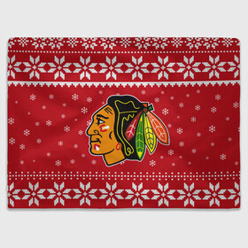 Плед 3D с принтом Чикаго Блэкхокс | Chicago Blackhawks | Новогодний в городе Новоалтайск, 100% полиэстер | закругленные углы, все края обработаны. Ткань не мнется и не растягивается | 2021 | 2022 | blackhawks | chicago | chicago blackhawks | christmas | hockey | merry christmas | new year | nhl | snow | usa | winter | блэкхокс | зима | новогодний | новогодняя | новый год | нхл | ро | рождество | снег | спорт | сша | хокк