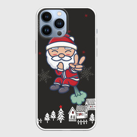 Чехол для iPhone 13 Pro Max с принтом Плохой Санта 2022 Bad Santa в городе Новоалтайск,  |  | 2022 | год тигра | новый год | новый год 2022 | символ года | тигр | тигренок | тигрица | тигры