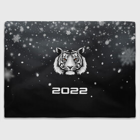 Плед 3D с принтом Новогодний тигр символ 2022. в городе Новоалтайск, 100% полиэстер | закругленные углы, все края обработаны. Ткань не мнется и не растягивается | 2022 | merry christmas | год тигра | зима близко | нг | новогодний | новогодний тигр | новогодняя символика | новый год | новый год 2022 | рождество | символ 2022 года | снег | снежинки | тигр