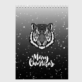 Скетчбук с принтом Merry Christmas Год Тигра 2022. в городе Новоалтайск, 100% бумага
 | 48 листов, плотность листов — 100 г/м2, плотность картонной обложки — 250 г/м2. Листы скреплены сверху удобной пружинной спиралью | 2022 | happy new year | merry christmas | год тигра | зима близко | нг | новогодний | новогодний тигр | новогодняя символика | новый год | новый год 2022 | рождество | символ 2022 года | снег | снежинки | тигр