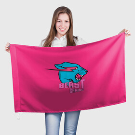 Флаг 3D с принтом Mr Beast Gaming Full Print (Pink edition) в городе Новоалтайск, 100% полиэстер | плотность ткани — 95 г/м2, размер — 67 х 109 см. Принт наносится с одной стороны | gamer | games | gaming | mr beast | mrbeast | youtube | блогеры | игры | мистер бист | ютуберы