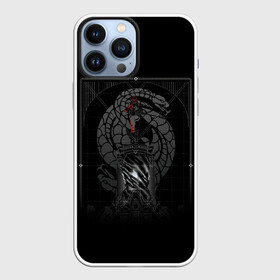 Чехол для iPhone 13 Pro Max с принтом DESTINY 2 СТРАЖ ОХОТНИК   HUNTER в городе Новоалтайск,  |  | Тематика изображения на принте: bungie | cayde 6 | cyd6 | destiny | destiny 2 | forsaken | gambit | ghost | hunter | light | mara sov | titan | warlock | банги | варлок | габмит | дестини | дестини 2 | зур | кейд | кейд 6 | коро | мара сов | отвергнутые 
