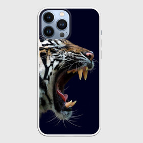 Чехол для iPhone 13 Pro Max с принтом Оскал тигра | Большая кошка в городе Новоалтайск,  |  | 2022 | big teeth | fangs | grin | tiger | tigr | tigris | большая кошка | большие зубы | клыки | новый год | оскалиться | острые клыки | полосатая кошка | скалить | скалить зубы | тигр
