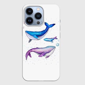 Чехол для iPhone 13 Pro с принтом Семья китов в городе Новоалтайск,  |  | китенок | киты | малыш | мама | море | папа | под водой | семья | трое