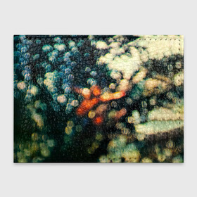 Обложка для студенческого билета с принтом Obscured by Clouds - Pink Floyd в городе Новоалтайск, натуральная кожа | Размер: 11*8 см; Печать на всей внешней стороне | Тематика изображения на принте: pink floyd | pinkfloyd | альбом | арт | артрок | дэвид гилмор | пинк флойд | пинкфлойд | прогрессивный | психоделический | ричард райт | роджер уотерс | рок группа | сид барретт | симфонический | спэйс | эйсид