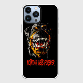 Чехол для iPhone 13 Pro Max с принтом ЗЛОЙ РОТВЕЙЛЕР   BAD DOG в городе Новоалтайск,  |  | bad | dog | rage | брызги | дог | злая собака | злость | клыки | когти | краски | собака | собака скалит зубы | ярость