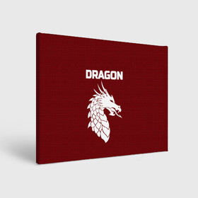 Холст прямоугольный с принтом WHITE_DRAGON в городе Новоалтайск, 100% ПВХ |  | dragon | white | white dragon | белый | белый дракон | дракон | дракон вектор