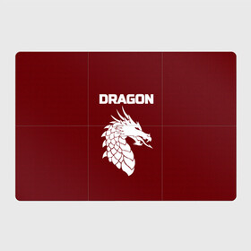 Магнитный плакат 3Х2 с принтом WHITE_DRAGON в городе Новоалтайск, Полимерный материал с магнитным слоем | 6 деталей размером 9*9 см | dragon | white | white dragon | белый | белый дракон | дракон | дракон вектор
