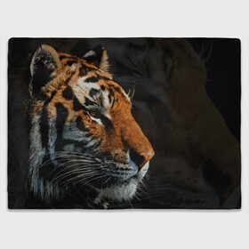 Плед 3D с принтом АМУРСКИЙ ТИГР TIGER в городе Новоалтайск, 100% полиэстер | закругленные углы, все края обработаны. Ткань не мнется и не растягивается | 2022 | amur tiger | beast | fangs | happy new year | merry christmas | new year | predator | snow | stars | stern grin | stern look | winter | year of the tiger | амурский тигр | год тигра | зверь | зима | клыки | новый год | снег | суровый взгл