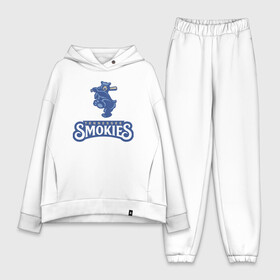 Женский костюм хлопок Oversize с принтом Tennessee smokies - baseball team в городе Новоалтайск,  |  | baseball | bat | bear | team | tennessee | usa | бейсбол | бита | медведь