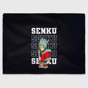 Плед 3D с принтом Senku - Dr Stone в городе Новоалтайск, 100% полиэстер | закругленные углы, все края обработаны. Ткань не мнется и не растягивается | anime | dr stone | dr stone stone wars | e  mc2 | manga | senku | senkuu ishigami | аниме | вождь деревни исигами | десять миллиардов процентов | доктор камень | доктор стоун | докута сутон | исигами сенку | исигами сэнку | манга