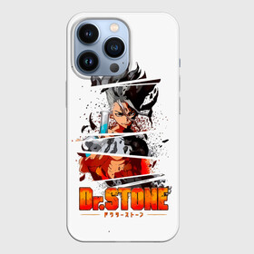 Чехол для iPhone 13 Pro с принтом Химия Сэнку Доктор Стоун в городе Новоалтайск,  |  | anime | dr stone | dr stone stone wars | e  mc2 | manga | senku | senkuu ishigami | аниме | вождь деревни исигами | десять миллиардов процентов | доктор камень | доктор стоун | докута сутон | исигами сенку | исигами сэнку | манга