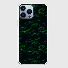 Чехол для iPhone 13 Pro Max с принтом Еловый рай в городе Новоалтайск,  |  | ели | елки | камуфляж ели | камуфляж ёлки | одежда 3d | одежда полная запечатки | одежда про лес | одежда с елками | одежда с лесом | приколы про лес | принт с лесом