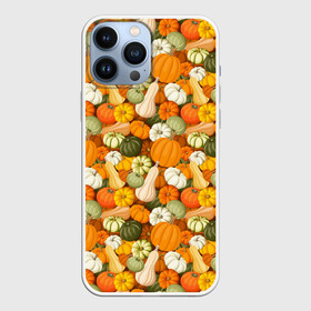 Чехол для iPhone 13 Pro Max с принтом Тыквы (Pumpkin) в городе Новоалтайск,  |  | Тематика изображения на принте: halloween | блюдо | веган | вегетарианец | витамины | диета | еда | завтрак | здоровое питание | здоровье | зелень | зож | корм | кушанье | обед | овощи | офощи | перекус | пища | повар | растительное питание