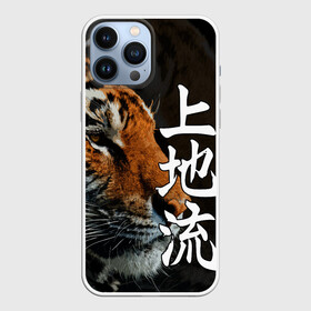 Чехол для iPhone 13 Pro Max с принтом Год тигра | 2022 | Взгляд в городе Новоалтайск,  |  | Тематика изображения на принте: 2022 | amur tiger | beast | fangs | happy new year | merry christmas | new year | predator | snow | stars | stern grin | stern look | winter | year of the tiger | амурский тигр | год тигра | зверь | зима | клыки | новый год | снег | суровый взгл
