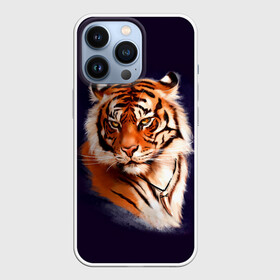 Чехол для iPhone 13 Pro с принтом Грозный Тигр | Символ 2022 Года | Tiger Beast в городе Новоалтайск,  |  | Тематика изображения на принте: 2022 | beast | black | cat | christmas | merry | new year | tiger | xmas | водяной | год тигра | животные | зверь | когти | кот | кошки | новый год | огонь | паттерн | полосатый | рождество | тигр | узор | чб | черный