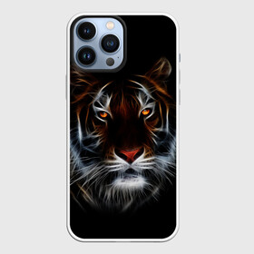 Чехол для iPhone 13 Pro Max с принтом Тигр в Темноте | Глаза Зверя в городе Новоалтайск,  |  | Тематика изображения на принте: 2022 | beast | black | cat | christmas | merry | new year | tiger | xmas | водяной | год тигра | животные | зверь | когти | кот | кошки | новый год | огонь | паттерн | полосатый | рождество | тигр | узор | чб | черный
