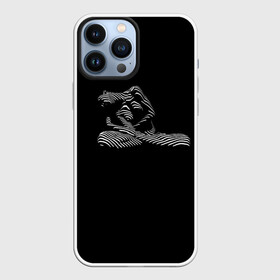 Чехол для iPhone 13 Pro Max с принтом Девушка зебра в темноте в городе Новоалтайск,  |  | девушка | зебра | оптические иллюзии | свет | свето тень | тень | фото | черно белое