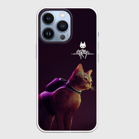Чехол для iPhone 13 Pro с принтом Stray | Боевой котик в городе Новоалтайск,  |  | cat | game | stray | игра | игра про кота | кот | стрей