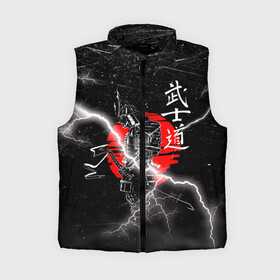 Женский жилет утепленный 3D с принтом Самурай Бусидо Иероглифы Samurai Lightning в городе Новоалтайск,  |  | bushido | grunge | sun | боевые | брызги | гранж | закат | искусства | краски | кровь | молния | полосы | потертости | ронин | самурай | солнце