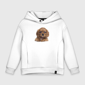 Детское худи Oversize хлопок с принтом Прикольный щенок   Puppy в городе Новоалтайск, френч-терри — 70% хлопок, 30% полиэстер. Мягкий теплый начес внутри —100% хлопок | боковые карманы, эластичные манжеты и нижняя кромка, капюшон на магнитной кнопке | cutie | ears | eyes | muzzle | nose | puppy | глаза | милашка | мордочка | нос | уши | щенок