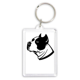 Брелок прямоугольный 35*50 с принтом Staffordshire Terrier / Muzzle в городе Новоалтайск,  |  | dog | ears | eyes | muzzle | power | staffordshire terrier | глаза | мощь | собака | стаффордширский терьер | уши