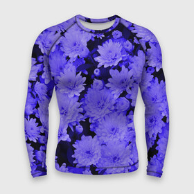 Мужской рашгард 3D с принтом Хризантемы  Сhrysanthemums в городе Новоалтайск,  |  | blue | flower | flowers | plant | purple | весна | лепестки | летний | летняя | лето | листья | на каждый день | на лето | осень | поле | растение | сиреневый | фиолетовые цветы | фиолетовый цветок | флора | цветок