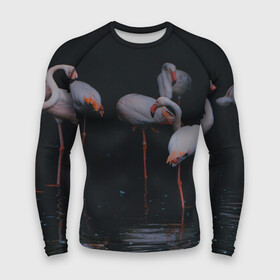 Мужской рашгард 3D с принтом фламинго  вода в городе Новоалтайск,  |  | art | birds | flamingo | flock | illustration | pink | summer | watercolor | акварель | животные | иллюстрация | искусство | лето | птицы | розовый | стая | узор | фауна | фламинго
