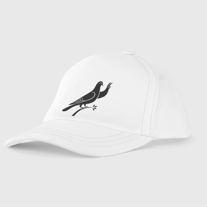 Детская бейсболка Голубь фото