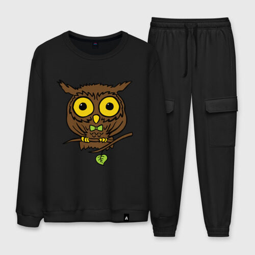 Мужской костюм хлопок Филин фото