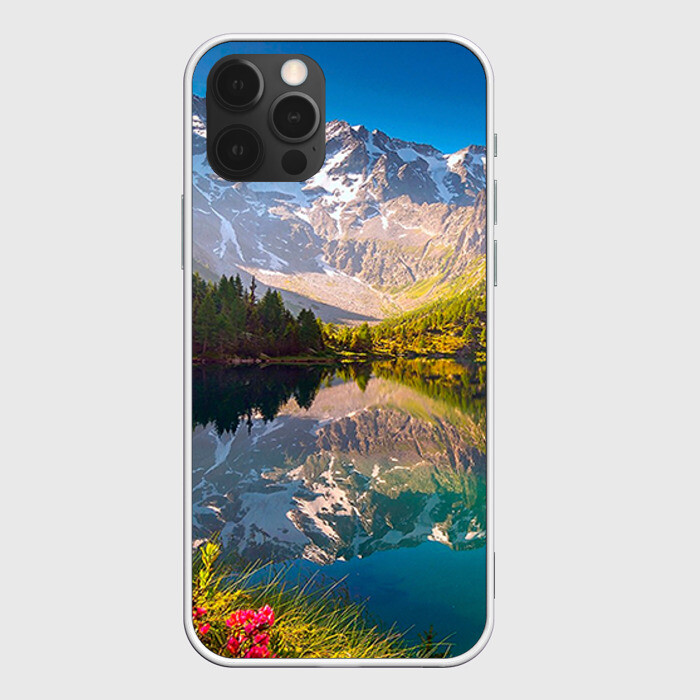 Чехол для iPhone 12 Pro Природа фото