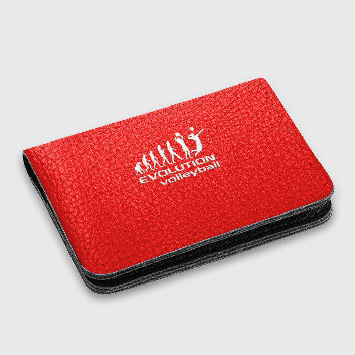 Картхолдер с принтом Волейбол 23 фото