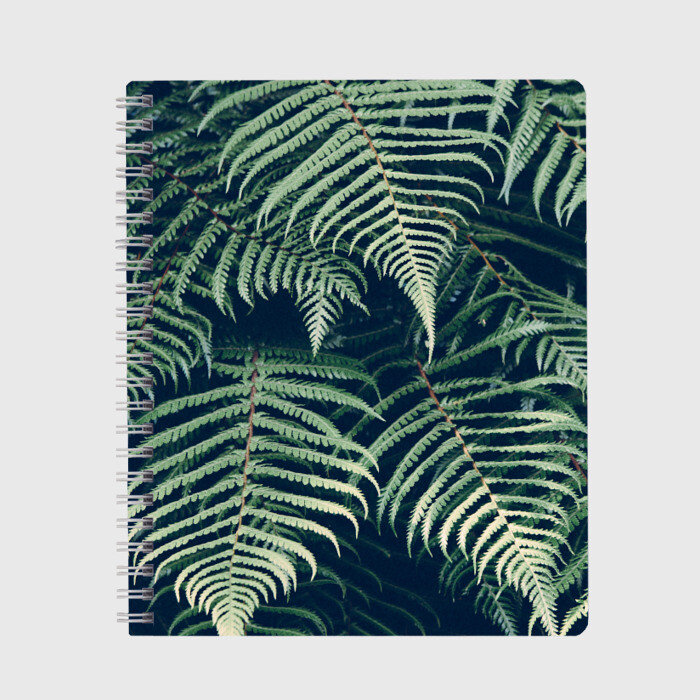 Тетрадь Папоротник фото