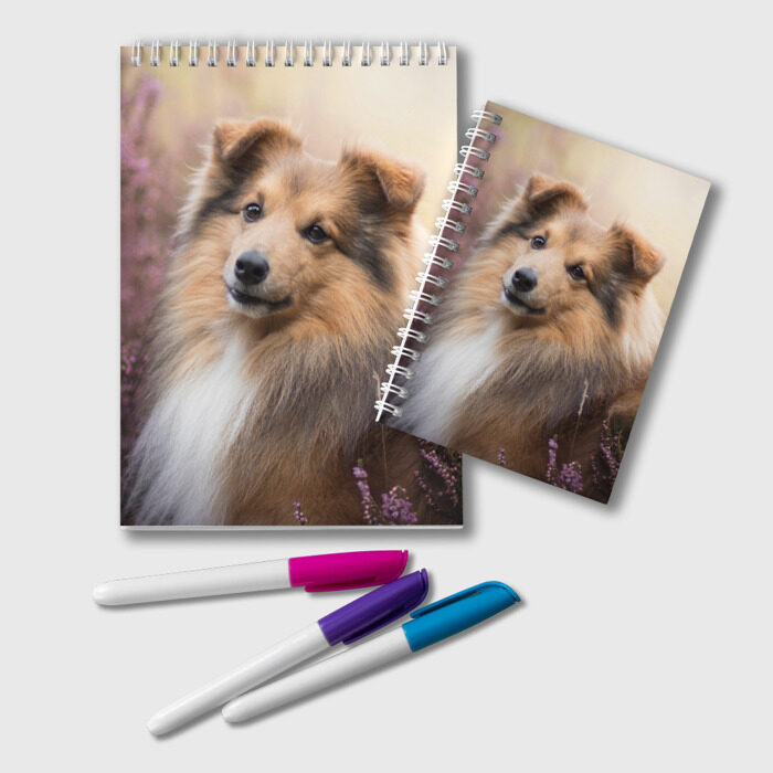 Блокнот Шелти фото