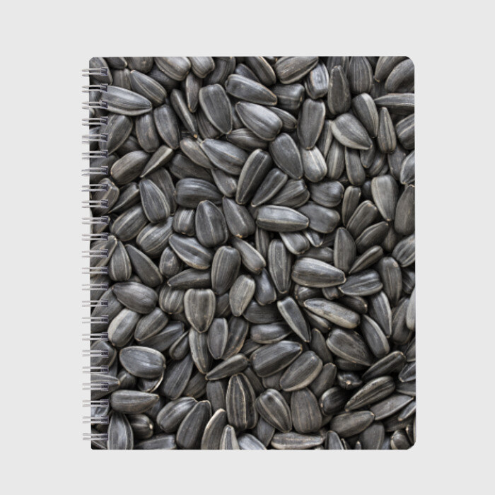 Тетрадь Семечки фото